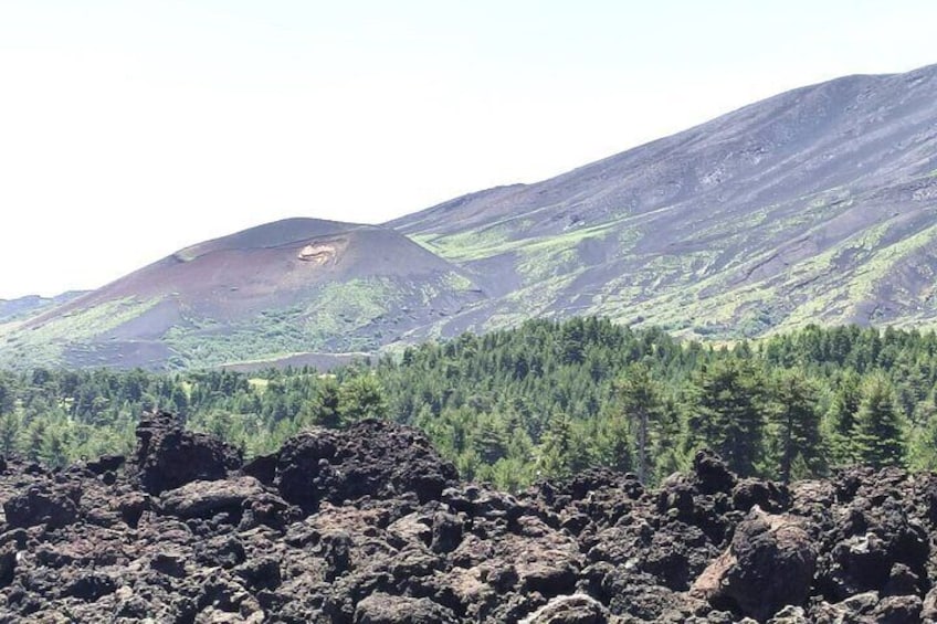 Tour of Etna on foot, food and wine tasting in the Etna winery