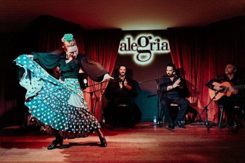 Dinner and Show at Alegría Flamenco & Restaurant in Malaga