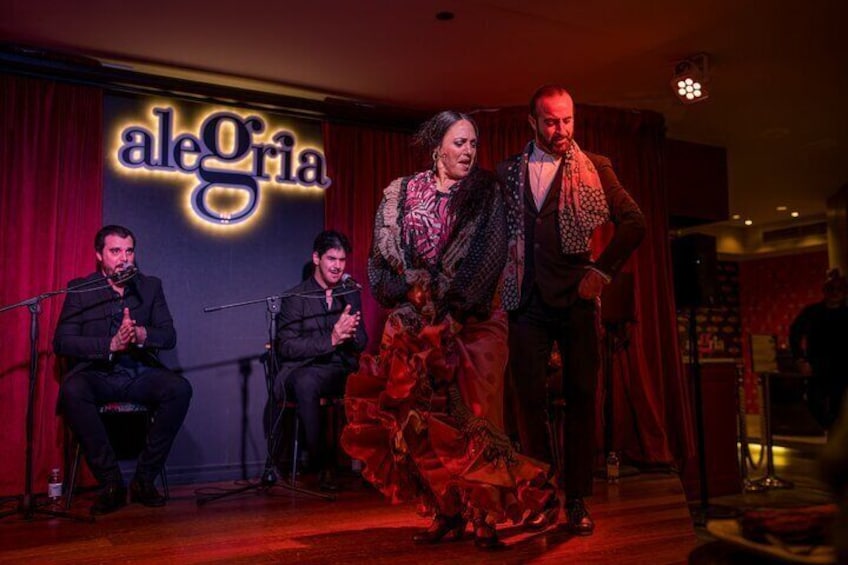 Dinner and Show at Alegría Flamenco & Restaurant in Malaga