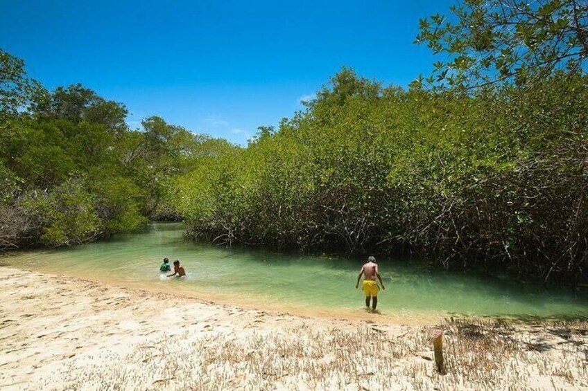 San Andres Mangroves