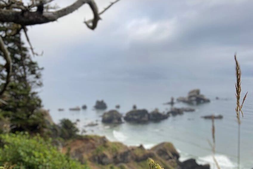 the moody beach on an early spring day