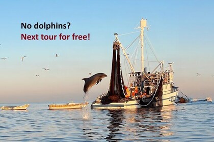 Private Sunrise Dolphins & Fishermen at Work boat tour in Rovinj