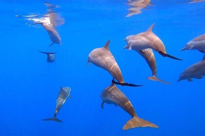 Huatulco Ocean Eco Adventures