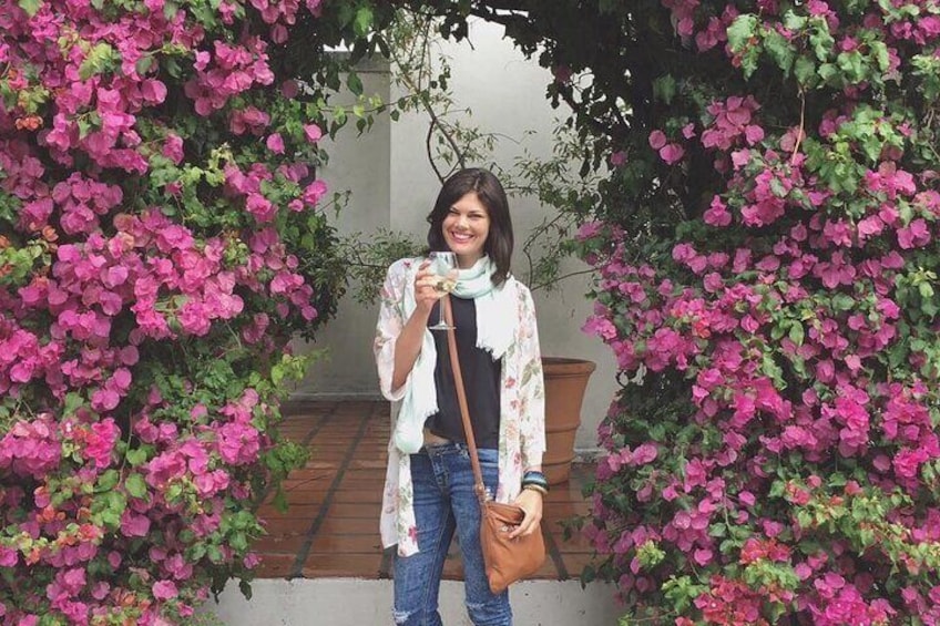 Full Day Small Group Wine Tour Cape Town and Stellenbosch