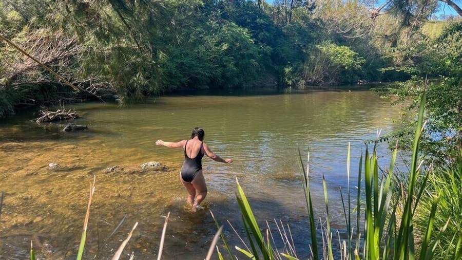Country towns: River & farm tour. Departing Newcastle.