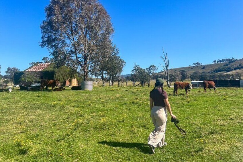 Aussie Country Adventure. Departing Newcastle. 