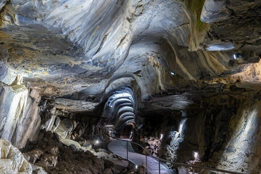 Guided Tour of Aillwee Cave and Visit to the Birds of Prey Centre