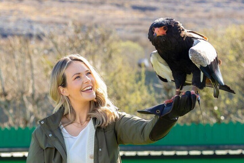 Guided Tour of Aillwee Cave and Visit to the Birds of Prey Centre