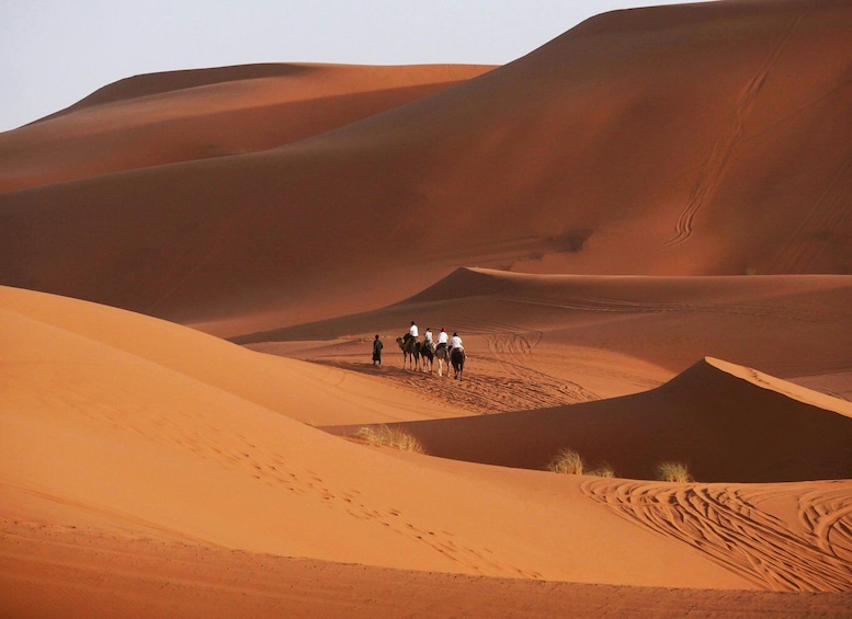 From Marrakech: 3-Day Desert Tour to Fes