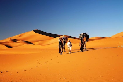 Von Marrakesch: 3-tägige Wüstentour nach Fes