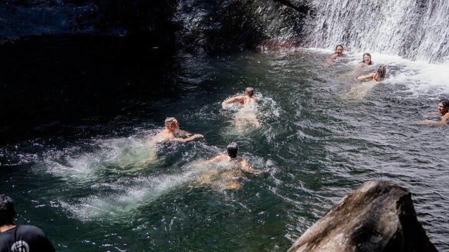 Hiking Experience in Caldera Transportation Included
