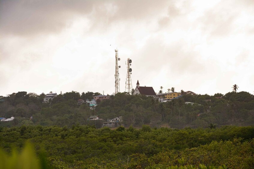 Picture 4 for Activity San Andrés: Private Island Highlights Tour