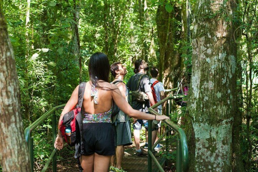 2-Day Private Tour Iguaçu Falls Brazil and Argentina