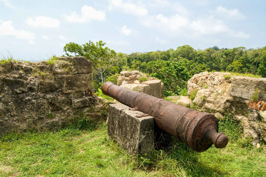 Panama: Panama Canal, Colón Rainforest and San Lorenzo Fort