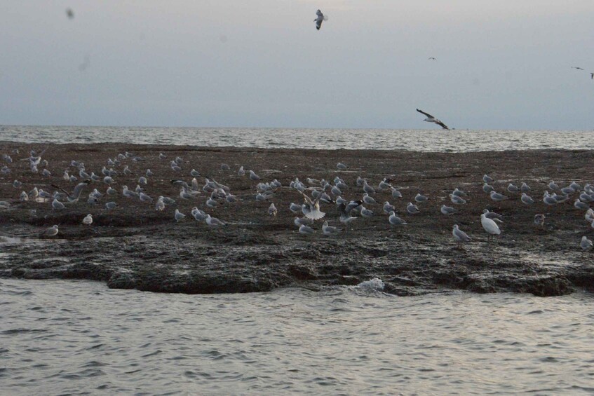 Picture 2 for Activity From Kampala: Jinja & the Source of the River Nile Day Trip