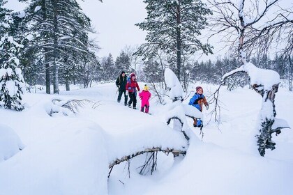 Snowshoe Adventure in Saariselkä