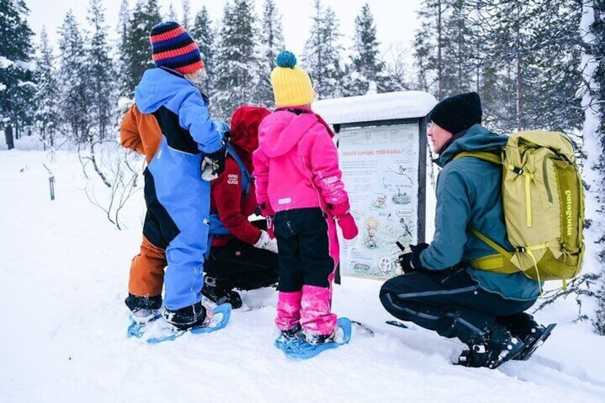  Snowshoe Adventure in Saariselkä