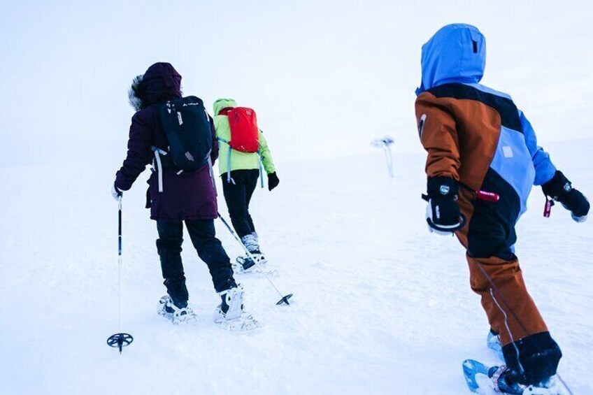  Snowshoe Adventure in Saariselkä