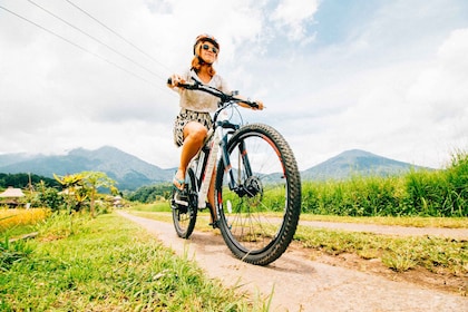 Bali: Jatiluwih-Reisterrassen 1 Stunde Elektrofahrrad-Tour