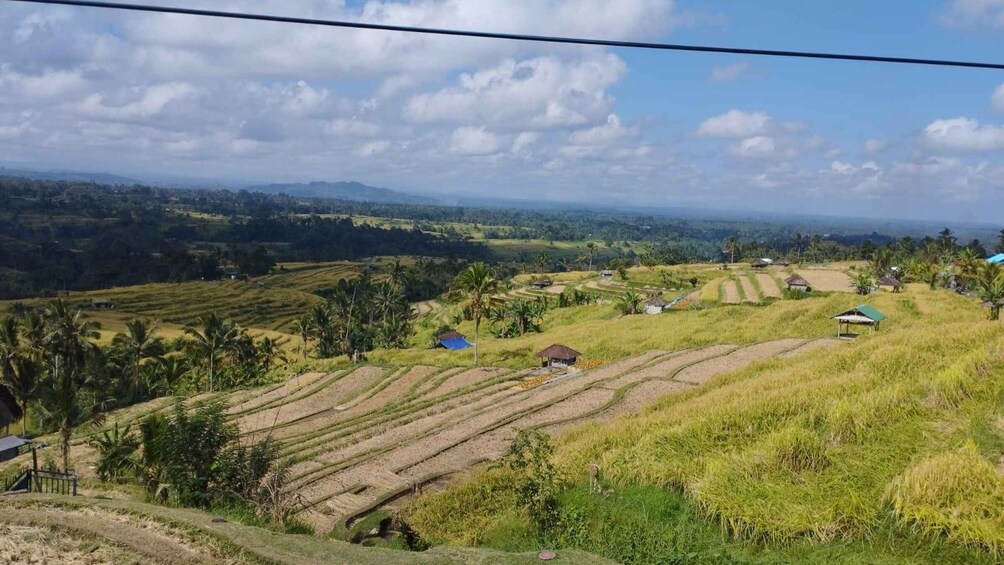 Picture 5 for Activity Bali: Jatiluwih Rice Terraces 1 Hour Electric Bike Tour