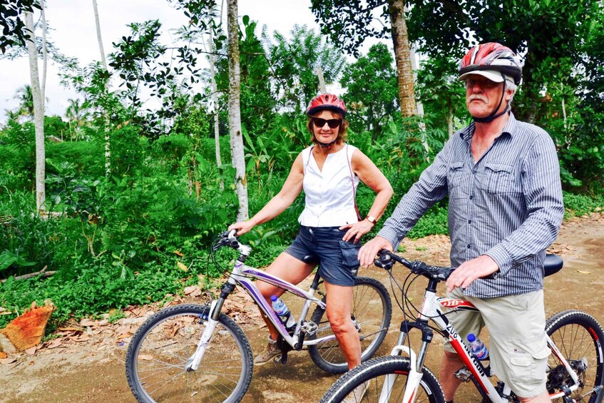 Picture 2 for Activity Bali: Jatiluwih Rice Terraces 1-Hour Electric Bike Tour