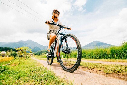 Bali: recorrido en bicicleta eléctrica de 1 hora por las terrazas de arroz ...