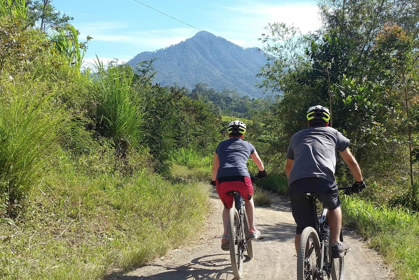 Picture 6 for Activity Bali: Jatiluwih Rice Terraces 1-Hour Electric Bike Tour