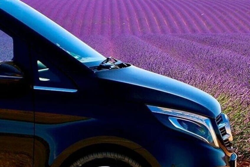 Lavender Fields Full Day Private Tour From Marseille