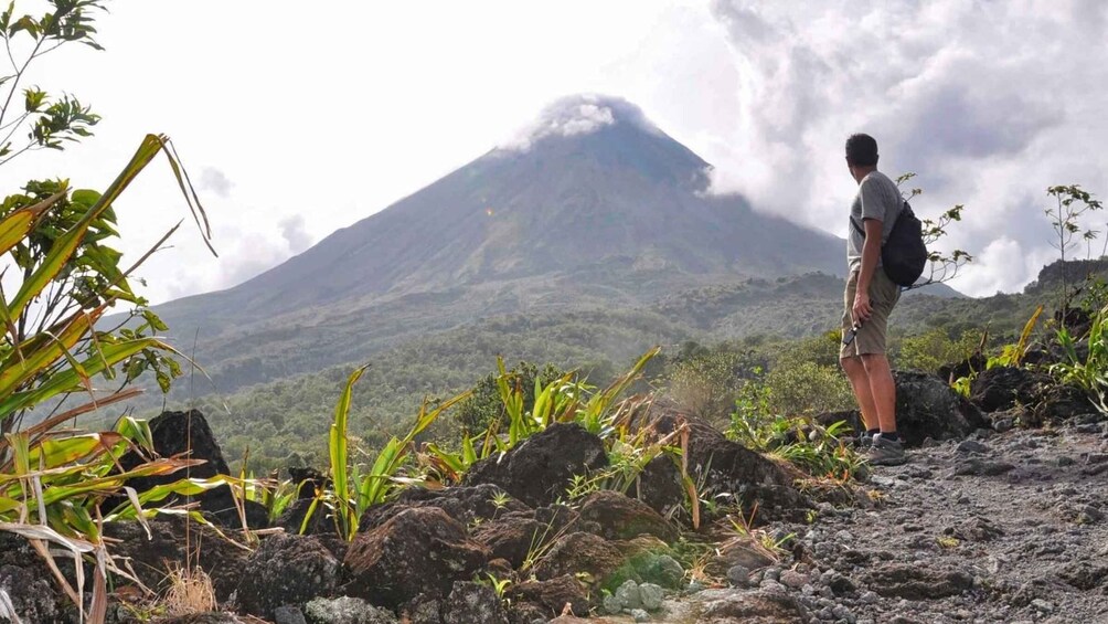 Picture 4 for Activity La Fortuna: Waterfall, Arenal Volcano and Hot Springs Tour