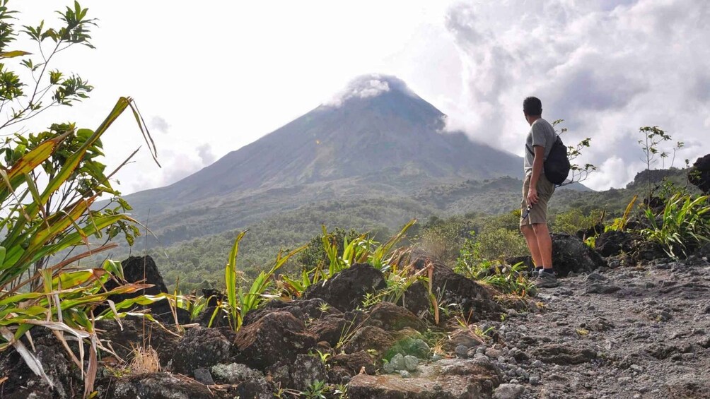 Picture 4 for Activity La Fortuna: Waterfall, Arenal Volcano and Hot Springs Tour