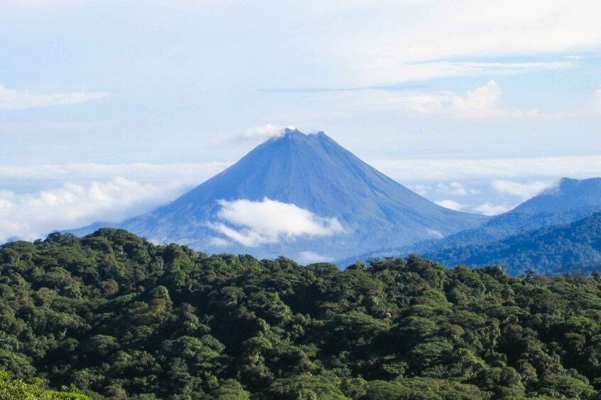 Picture 2 for Activity La Fortuna: Waterfall, Arenal Volcano and Hot Springs Tour