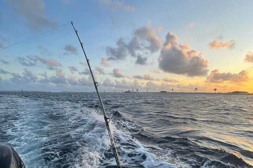 Fishing at sunrise gives you the best chance to catch some Fish