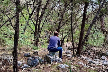 Forest Mindfulness and Embodiment Experience