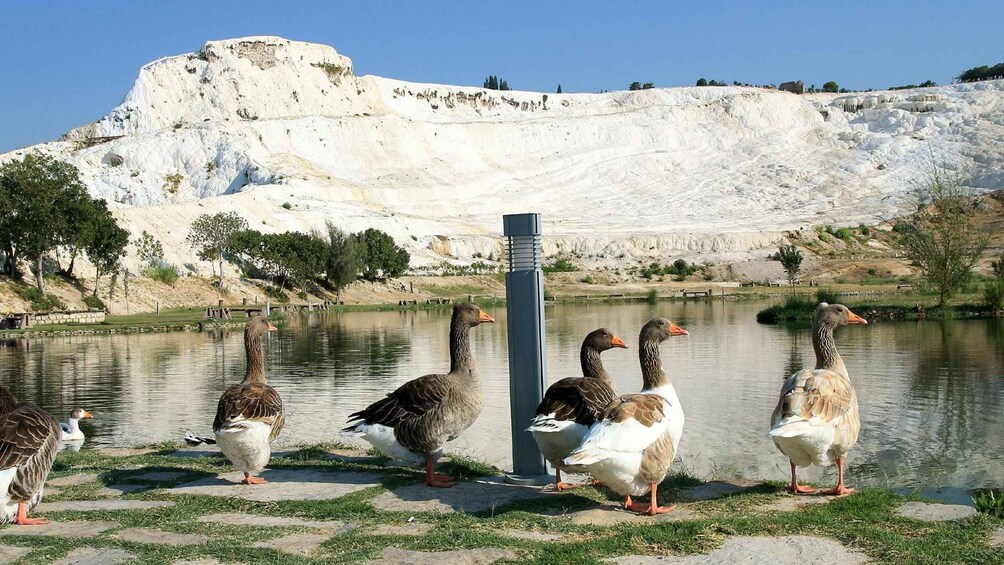 Picture 13 for Activity Pamukkale and Hierapolis: Full-Day Private or Group Tour