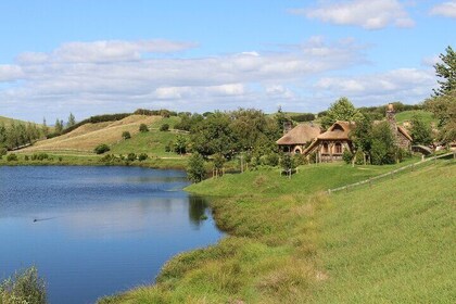 Private Auckland Highlight and Hobbiton Day Tour