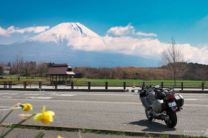 Private Motorcycle Day Tour to Fuji and Hakone: Onsen and Nature