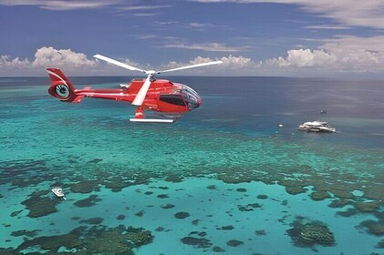 Fly in and Fly out Great Barrier Reef Cairns Day Tour