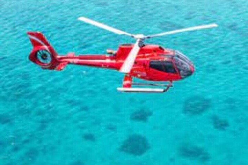 Fly in and Fly out Great Barrier Reef Cairns Day Tour