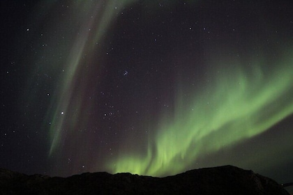 Yellowknife Aurora Hunting Tours by Bus