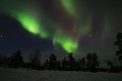 Yellowknife Aurora Hunting Tours by Bus