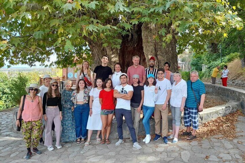 Whole day Wine Tour to Kakheti from Tbilisi