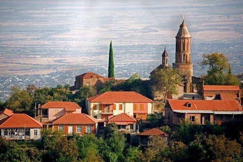 Whole day Wine Tour to Kakheti from Tbilisi