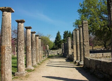 Visita guiada privada a la antigua Olimpia