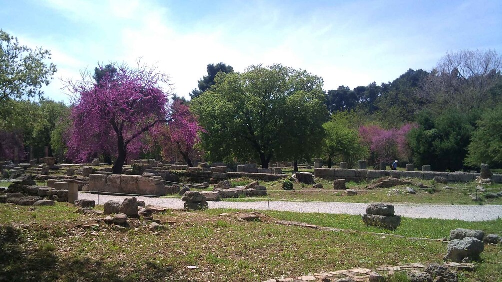 Picture 3 for Activity Private Guided Tour of Ancient Olympia