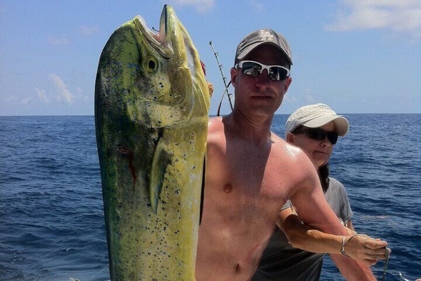 One BIG Mahi Mahi