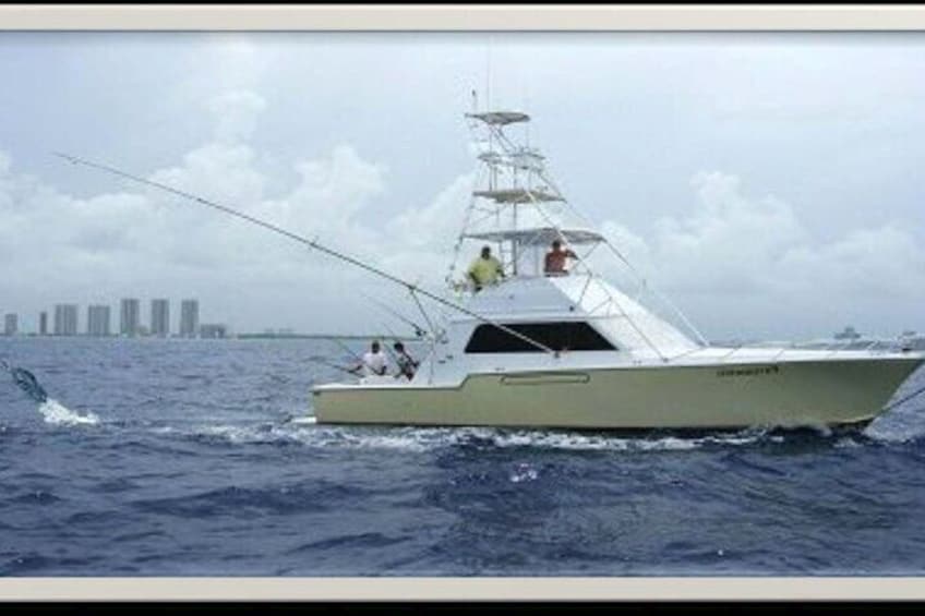 Reeling in a Sailfish on the Fintastic