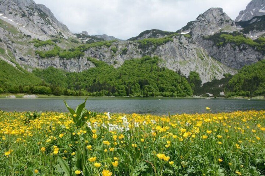 Trnovačko Lake Trekking From National Park Sutjeska