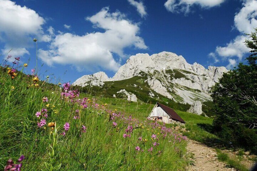 Trnovačko Lake Trekking From National Park Sutjeska