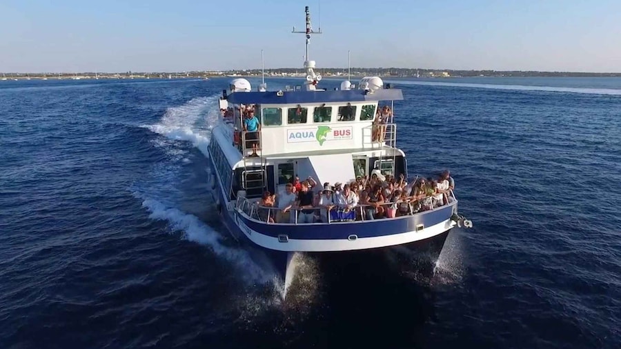 Playa d'en Bossa/Figueretes: Roundtrip Ferry to Formentera