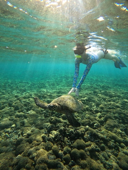 Indonesia: 4 Hour Snorkeling by Glass Bottom Boat in the Gili Islands 